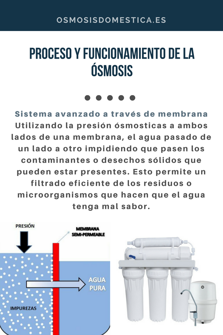 Proceso y funcionamiento de la ósmosis